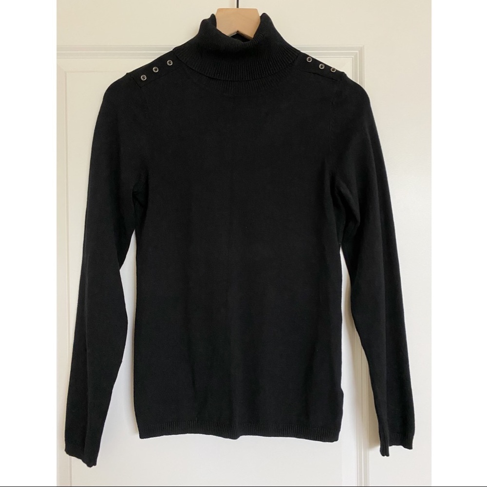 The Limited Fitted Turtleneck Sweater